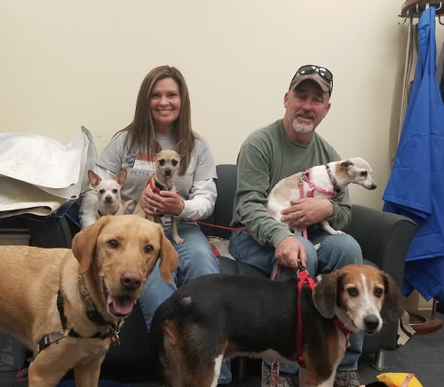 Happy Adoption Day