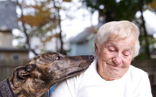 Bigstock-Senior-Lady-With-Greyhound-24941591