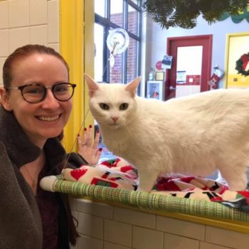 white cat angel adopted