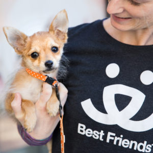 Best Friends Animal Society Conference 2017