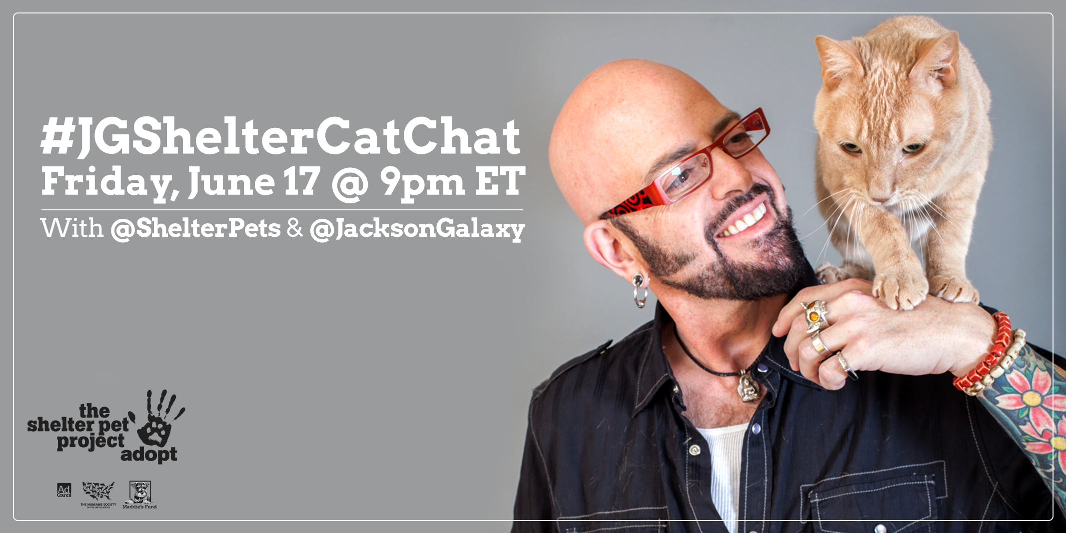 Celebrate Adopt a Shelter Cat Month on Twitter with Jackson Galaxy and