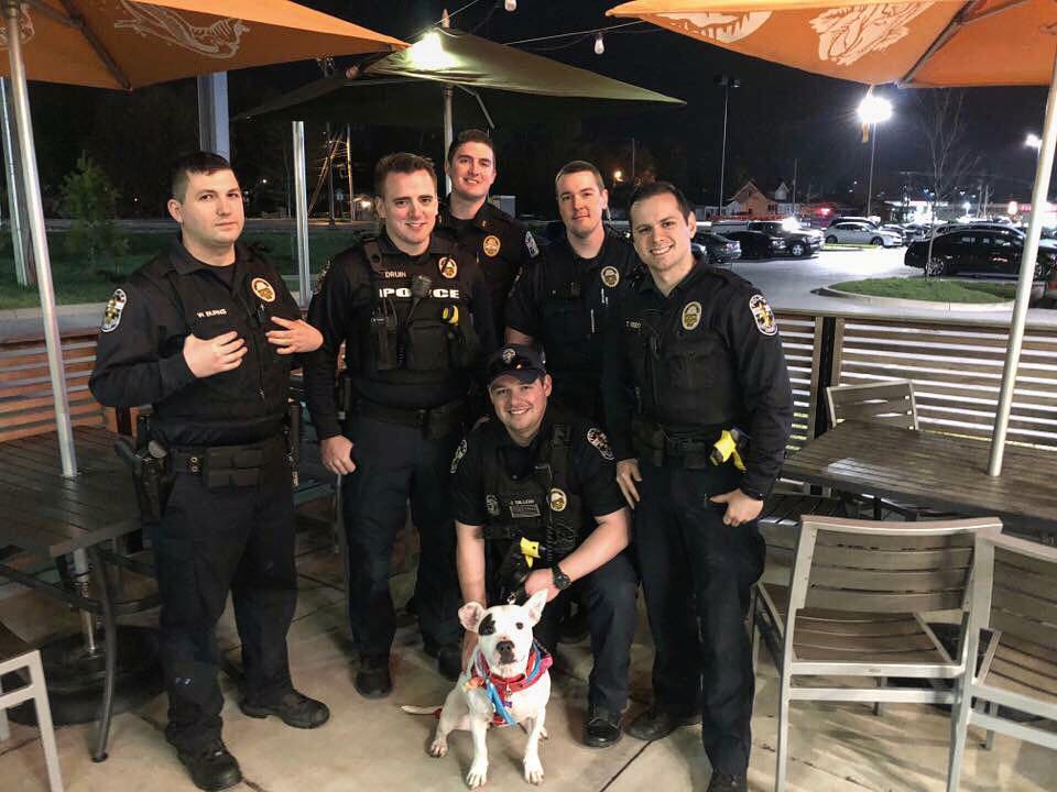 Louisville shelter teams up with local police to get dogs out into the field… and adopted