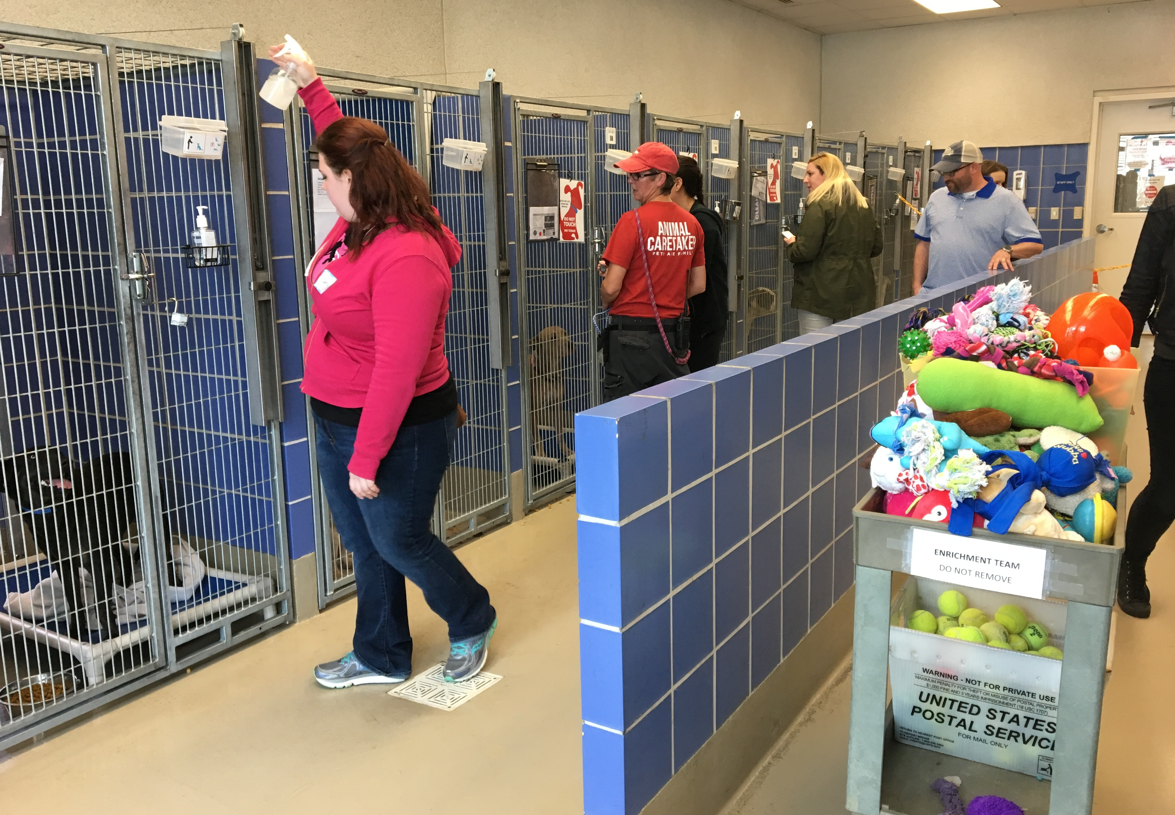 13 animal welfare summer apprenticeship opportunities apply today