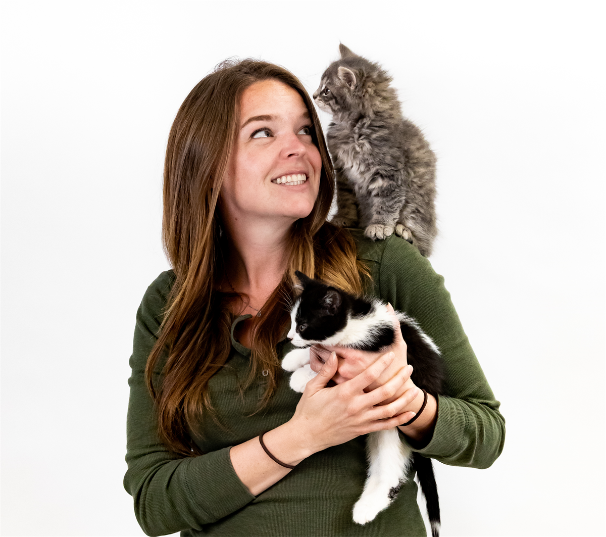 image associated with the Using Research for Decisions on Working Cat Placements