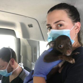 Dr. Flowers with Vet Tech Amber holding a brown puppy in the car