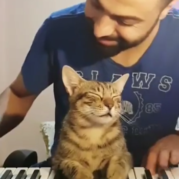 Man and cat at piano