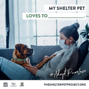 SPP CSPD2020 Graphic4 Surprised IG v2 FINAL 300x300 - Today is Celebrate Shelter Pets Day!