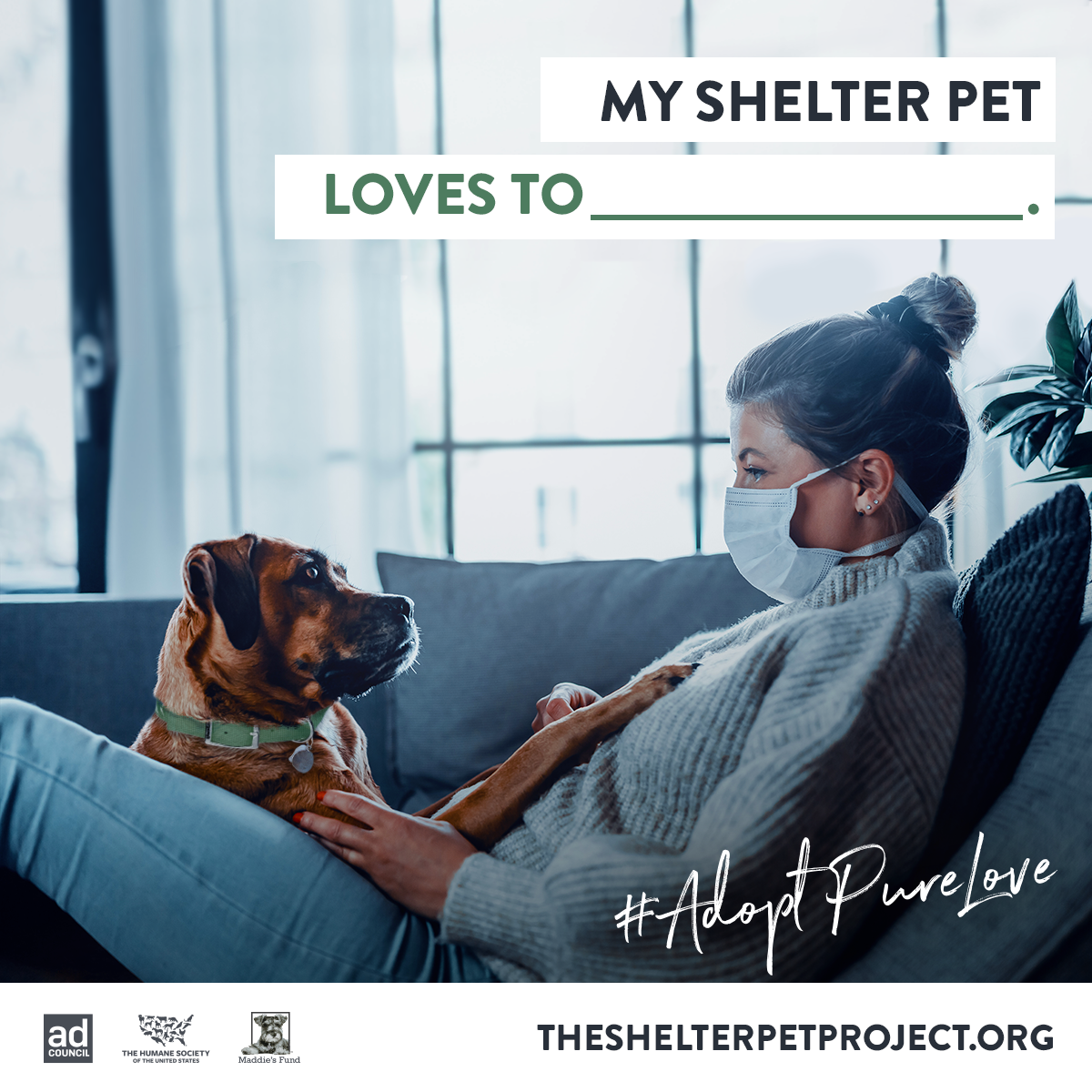 Today is Celebrate Shelter Pets Day! Chew On This
