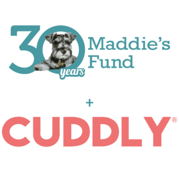 Screenshot 2024 10 02 at 12.58.25 PM 350x350 - Celebrate 30 years of Maddie’s Fund with Cuddly and monthly giveaways!