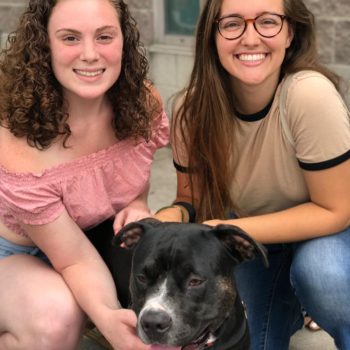two girls with foster dog