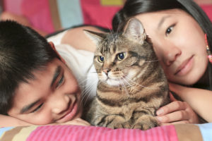 Teens with foster cat