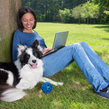 Young woman working on her laptop in the park and her dog waiting to play with a ball