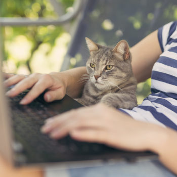 Woman working on her laptop at home with her cat as an assistant