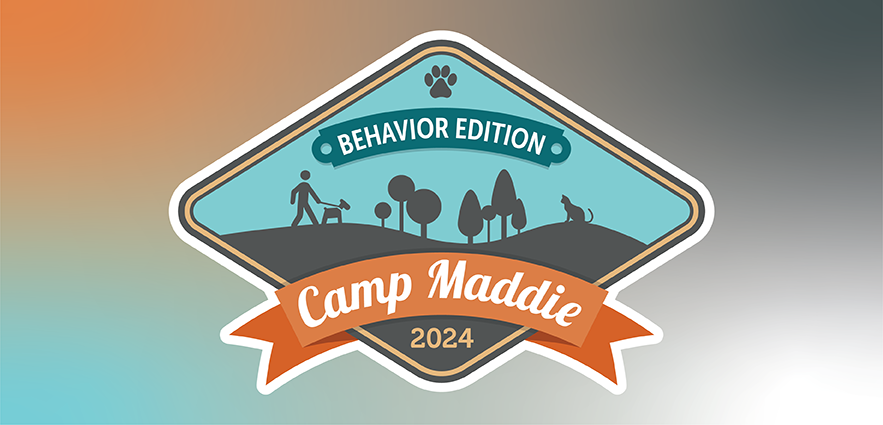 image associated with the Camp Maddie: Behavior Edition featuring Michael Shikashio