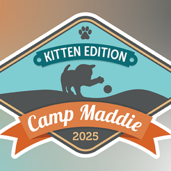 camp maddie kitten slider 350x350 - Register now for Camp Maddie: Kitten Edition!