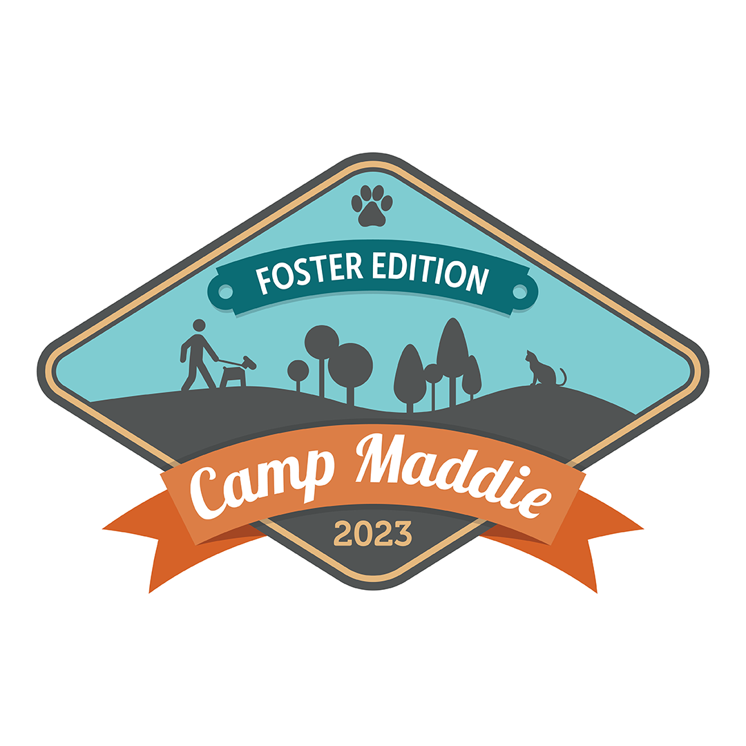image associated with the Register now for Camp Maddie: Foster Edition!