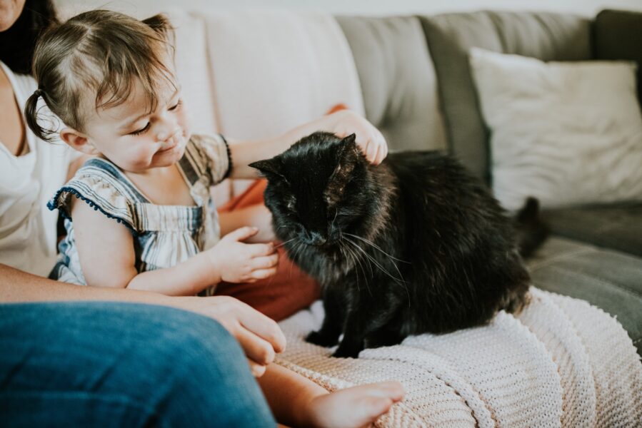 chewy ethVHUKAaEI unsplash e1607545706760 - Why these Pet Foster Stimulus Grant recipients implemented a foster to home program 