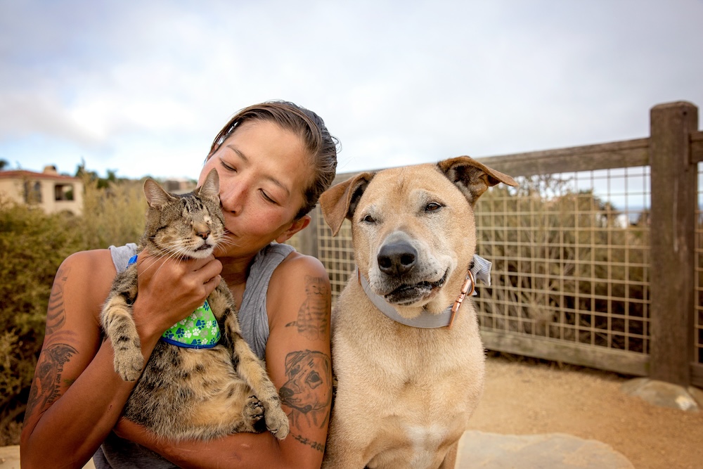 image associated with the Resources to help make pet adoptions more welcoming