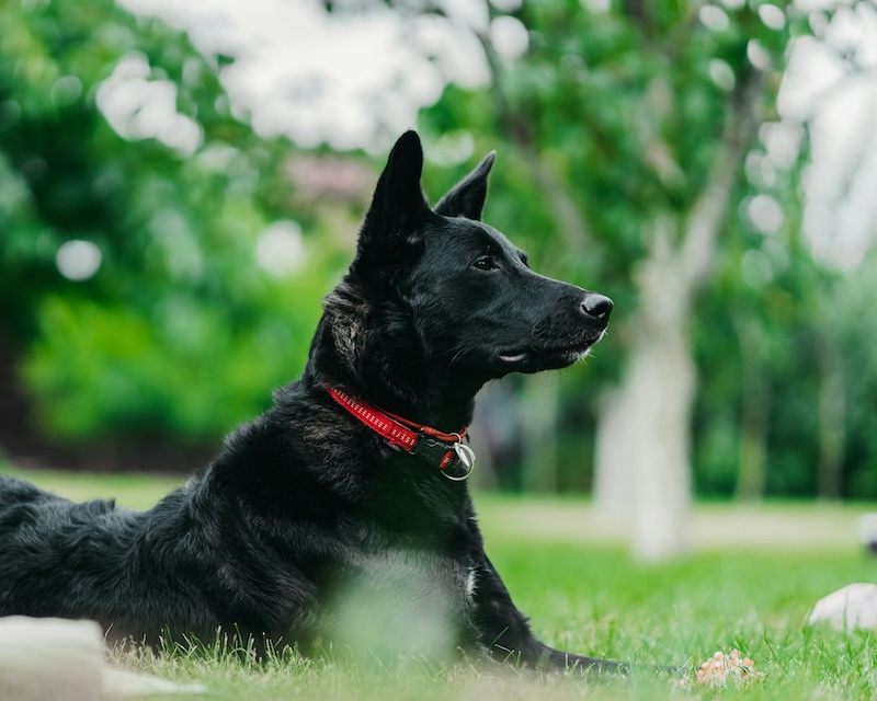 Maddie’s Weekly Roundup: Camp Maddie recordings, giveaway winners and more! eugene chystiakov kdFDewk4uHU unsplash 2 copy - Maddie’s Weekly Roundup: Camp Maddie recordings, giveaway winners and more!