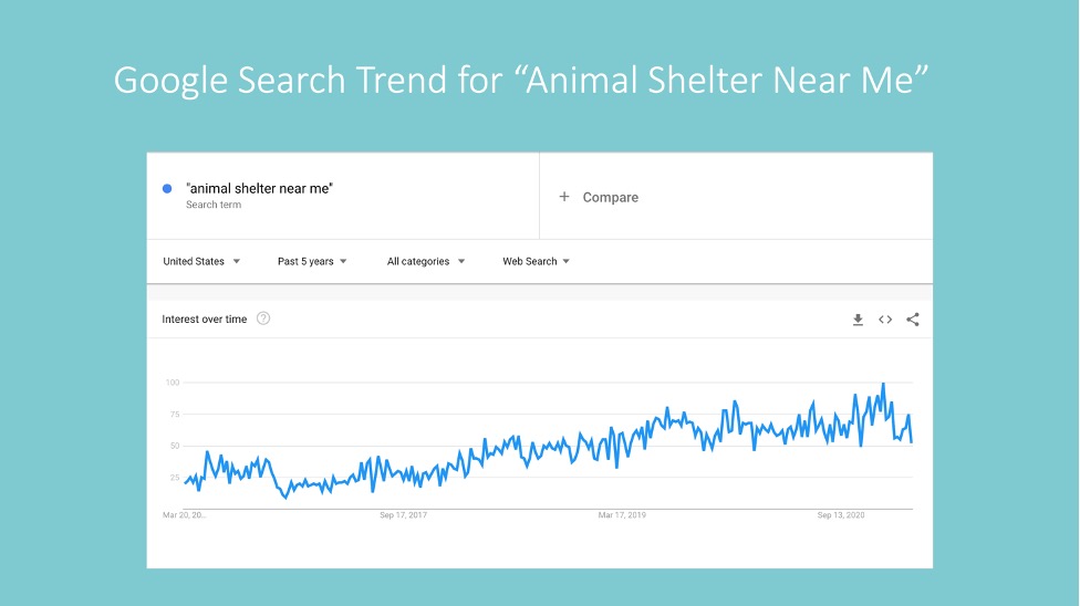 google search trend - Stars matter: Online reputation management for animal shelters