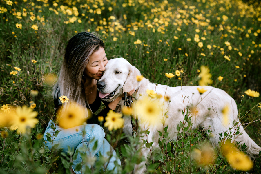 iStock 1216277177 copy - Maddie’s Weekly Roundup: Enter your shelter data, catch up on Huddles and more!