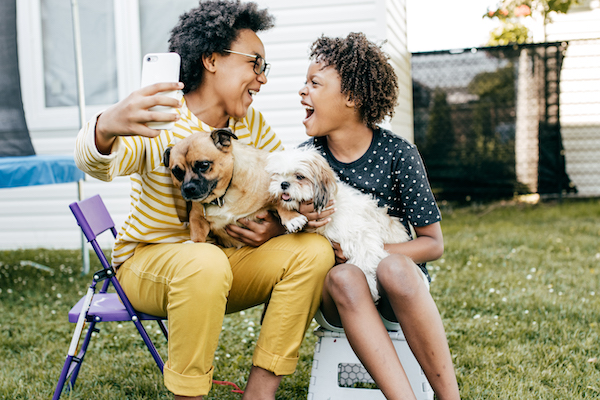 iStock 1257089545 copy - How your pet foster program can provide support for foster caregivers