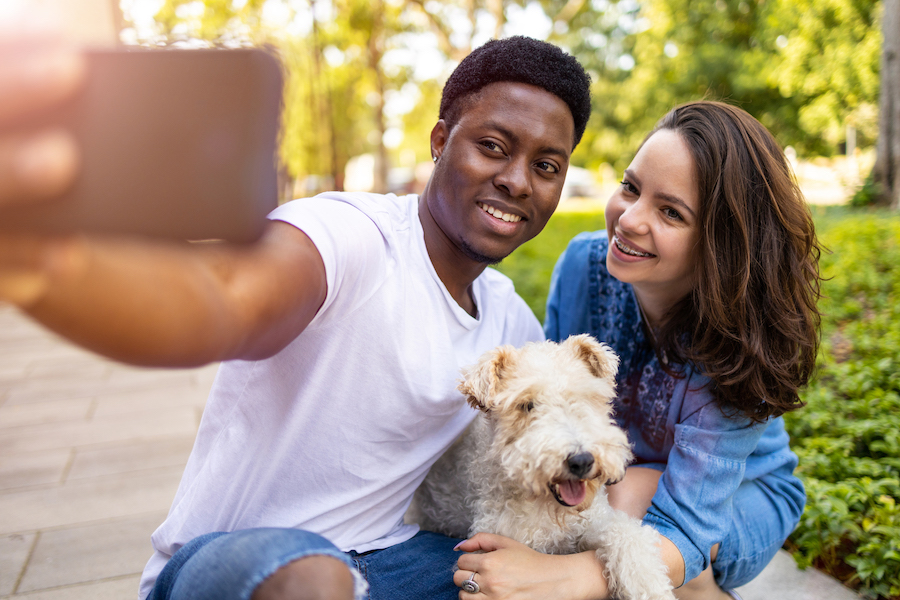 iStock 1273609594 copy - Pets across the US are returning home thanks to the No Place Like Home Challenge 