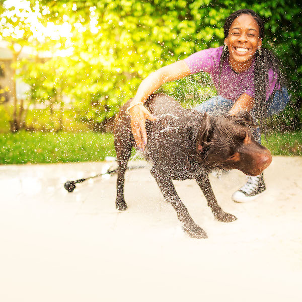 iStock 504586776 1 copy - How to identify your animal welfare organization’s brand