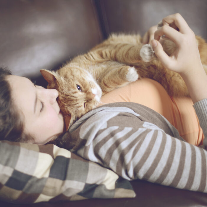 How to keep pets in homes and out of shelters Chew On This