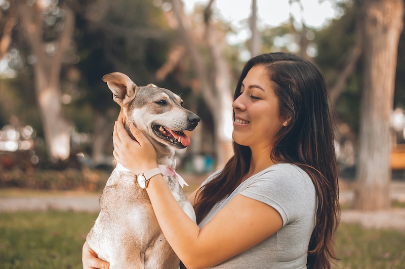 manuel meza KvKop a EXw unsplash copy 1 - Fur-ever starts now: Supporting dogs and adopters&rsquo; post-adoption