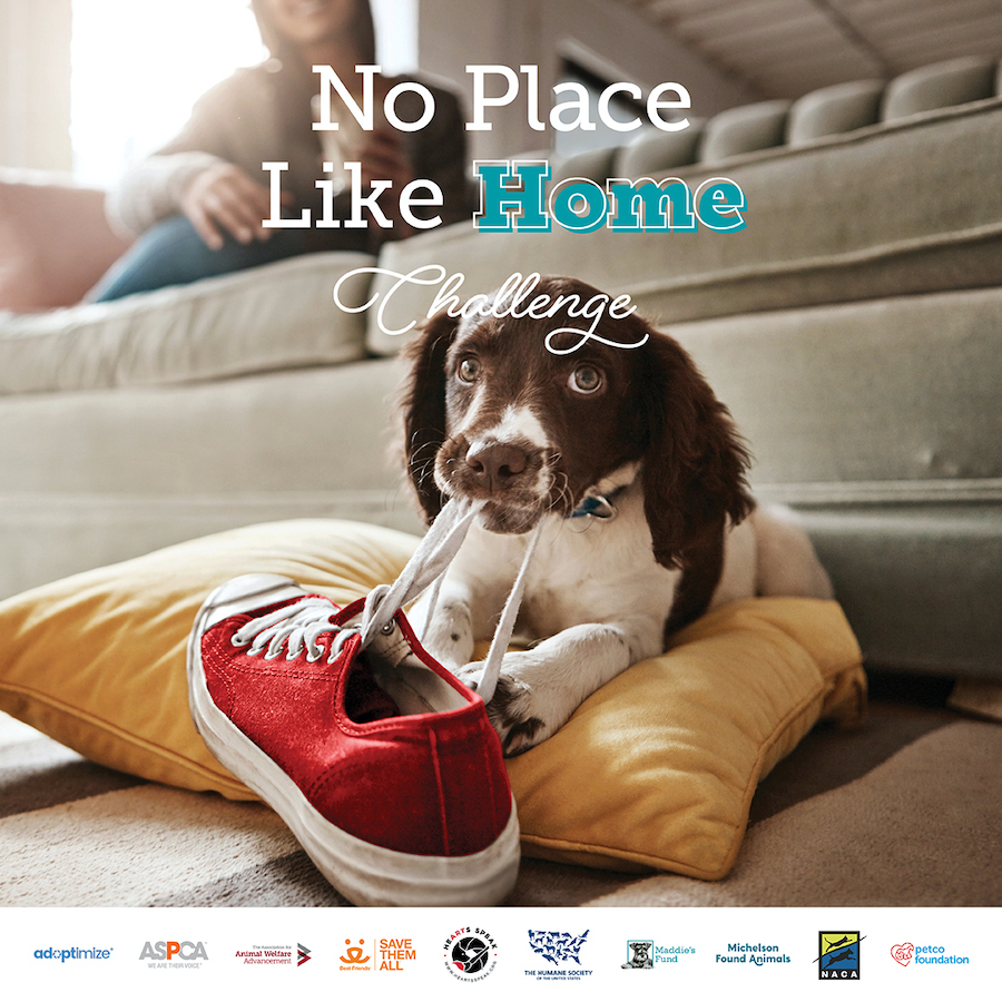 no place like home challenge social1 - Only a few more days left to apply for the No Place Like Home Challenge!