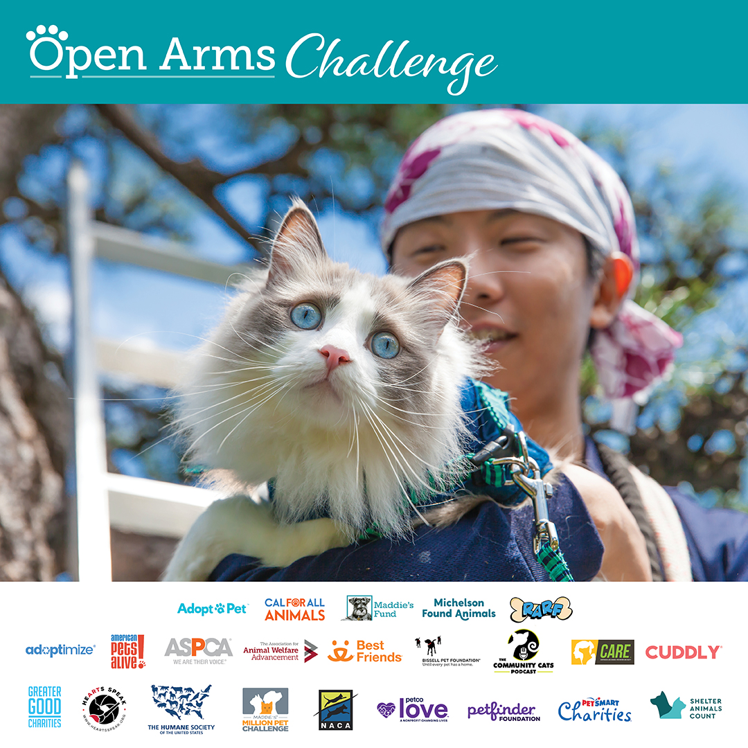 open arms social graphics2023c - Join 23 national organizations for the Open Arms Challenge!