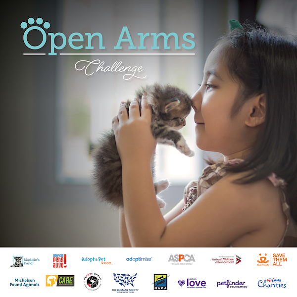 open arms social graphics6 1 - The Open Arms Challenge winners are…