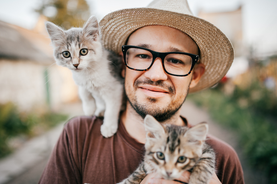 shutterstock 1023708784 copy - Maddie’s Weekly Roundup: Kitten season, community cats and more!