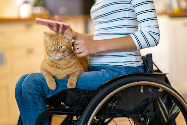 shutterstock 1829189681 1 1 copy - Learn strategies for challenging ableism in companion animal welfare