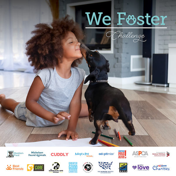 we foster social graphics1 - I foster. You foster. We all foster. A new Challenge is coming!