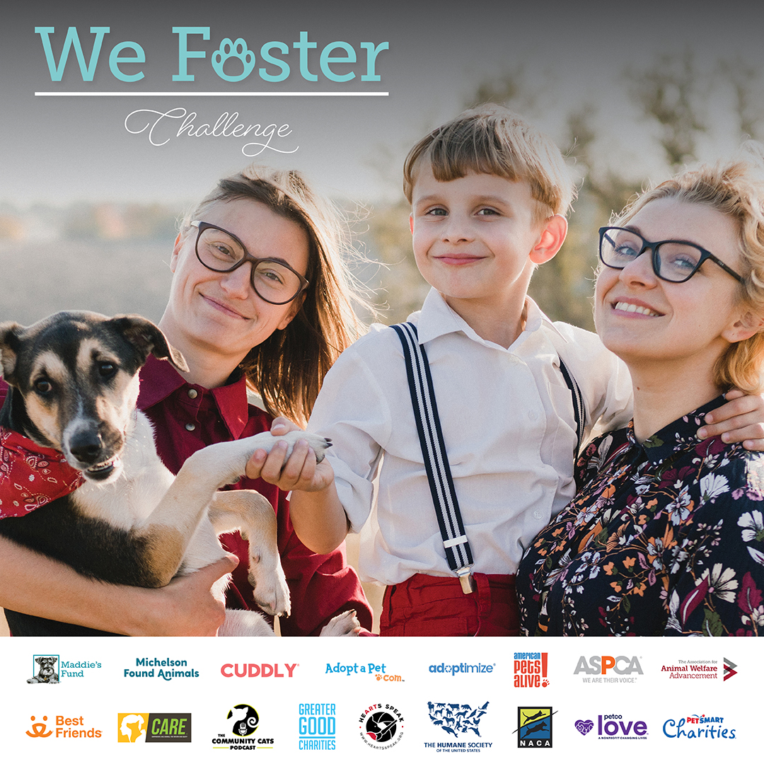 we foster social graphics3 - Apply now for the We Foster Challenge!